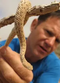 《致命凶物》影评：恐怖氛围拉满，胆小慎入！揭秘潜藏在黑暗中的邪恶