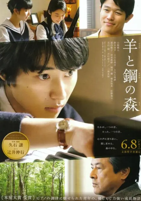 《羊与钢的森林》：钢琴调音师的诗意人生，在森林中寻找音符的共鸣