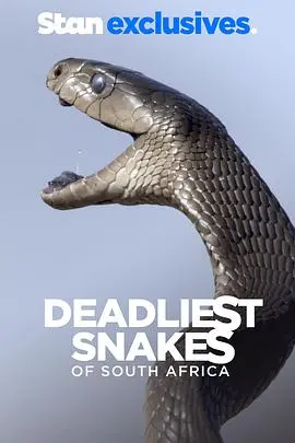《南非致命毒蛇》：毒性直逼《Anaconda》？这部美国电影的蛇界惊悚，你敢看吗？
