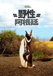 《国家地理 野性阿根廷》：壮丽风光下的“空难电影”隐喻，震撼到失语！
