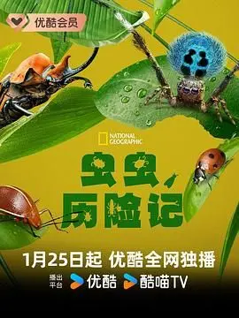 《虫虫历险记》：一场关于孤独灵魂的奇幻漂流