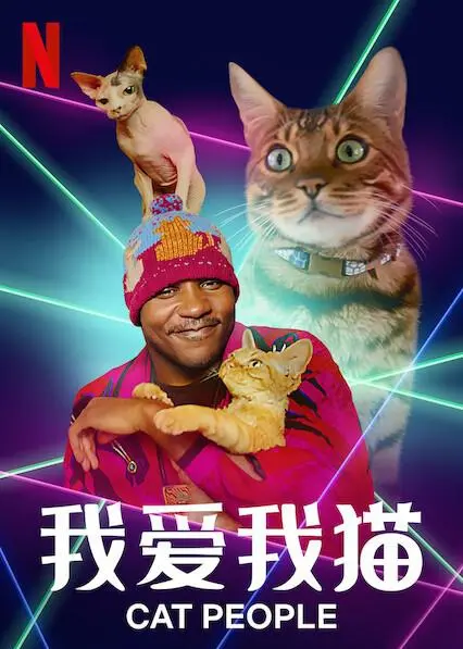 《我爱我猫》：这猫奴的“槽点”比猫毛还多？看完只想立刻拥有同款毛孩子！