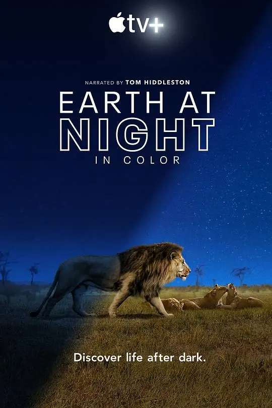 《夜色中的地球》：友妻成炮灰？战火如何吞噬人性与道德底线！